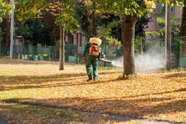 Spider Control Near Me in Montrose, PA